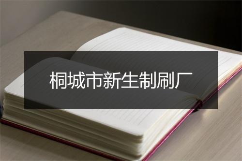 桐城市新生制刷厂