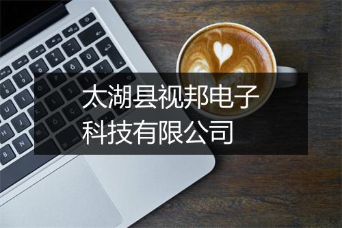 太湖县视邦电子科技有限公司