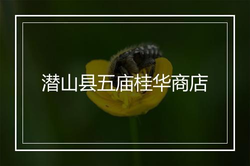 潜山县五庙桂华商店