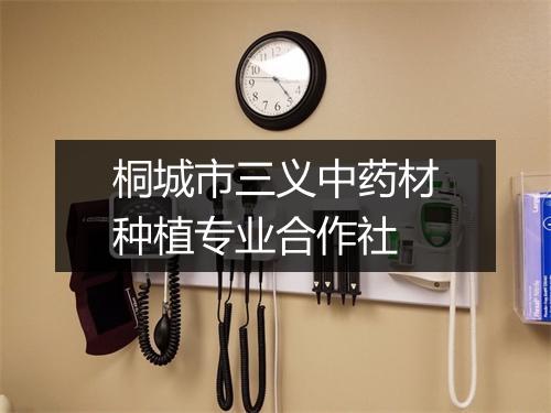 桐城市三义中药材种植专业合作社