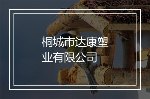 桐城市达康塑业有限公司