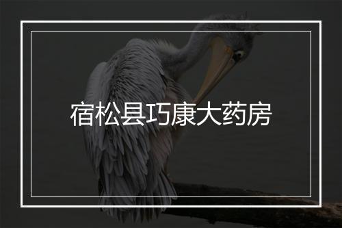 宿松县巧康大药房