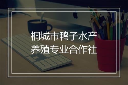 桐城市鸭子水产养殖专业合作社