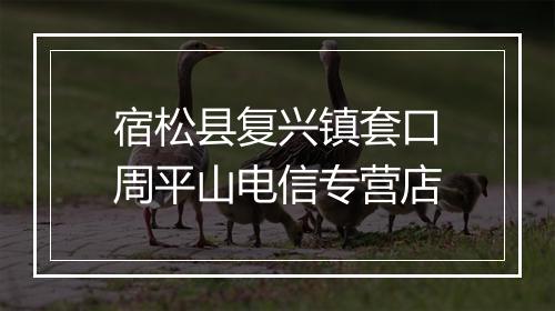 宿松县复兴镇套口周平山电信专营店