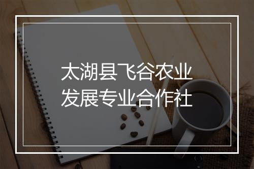 太湖县飞谷农业发展专业合作社