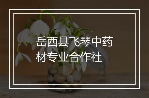 岳西县飞琴中药材专业合作社