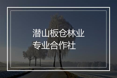 潜山板仓林业专业合作社
