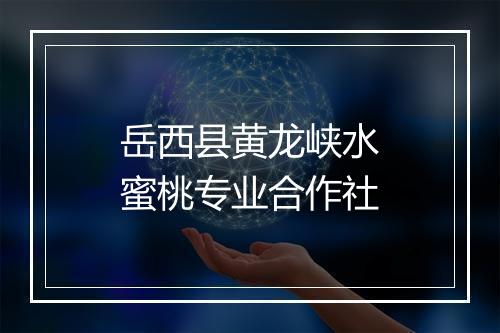 岳西县黄龙峡水蜜桃专业合作社