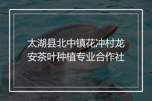 太湖县北中镇花冲村龙安茶叶种植专业合作社