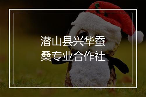 潜山县兴华蚕桑专业合作社