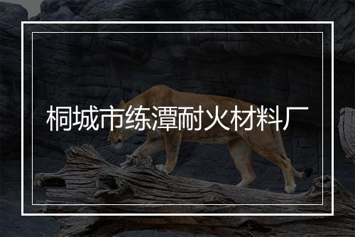 桐城市练潭耐火材料厂
