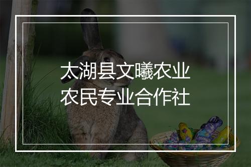 太湖县文曦农业农民专业合作社