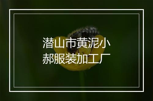 潜山市黄泥小郝服装加工厂