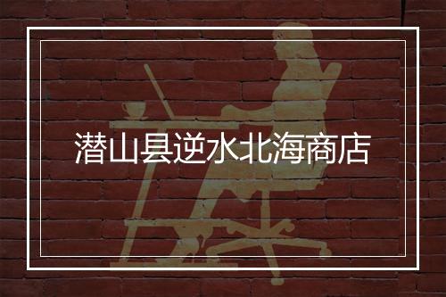 潜山县逆水北海商店