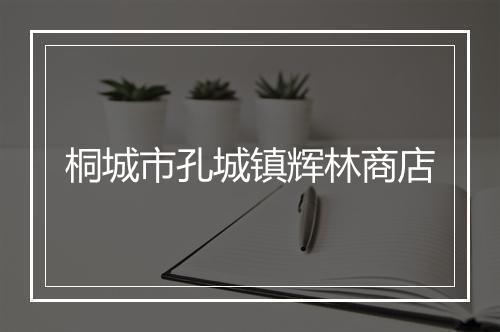 桐城市孔城镇辉林商店