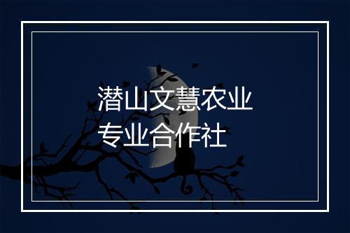 潜山文慧农业专业合作社