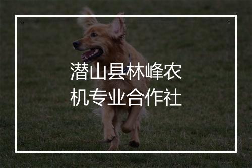 潜山县林峰农机专业合作社