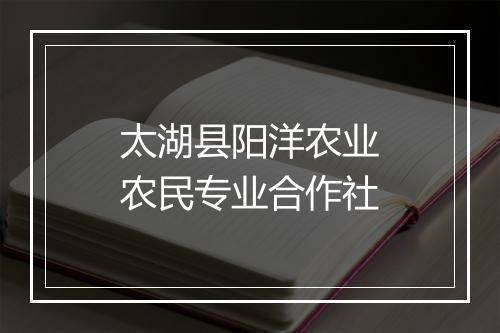 太湖县阳洋农业农民专业合作社