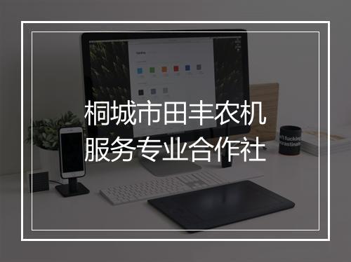 桐城市田丰农机服务专业合作社