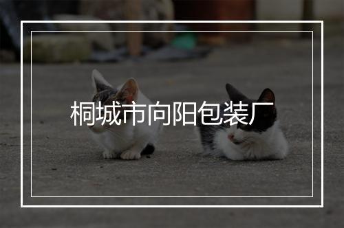 桐城市向阳包装厂