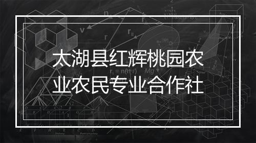太湖县红辉桃园农业农民专业合作社