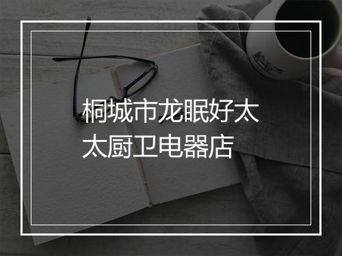 桐城市龙眠好太太厨卫电器店