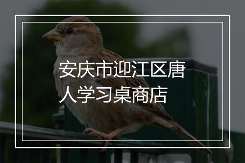 安庆市迎江区唐人学习桌商店