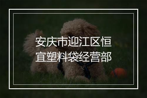 安庆市迎江区恒宜塑料袋经营部