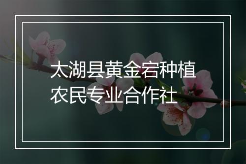 太湖县黄金宕种植农民专业合作社