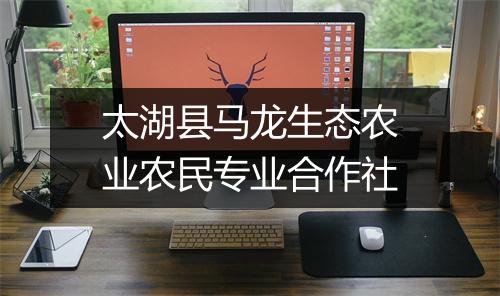 太湖县马龙生态农业农民专业合作社