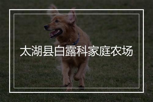 太湖县白露科家庭农场