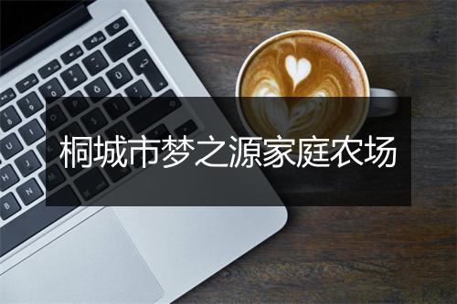 桐城市梦之源家庭农场
