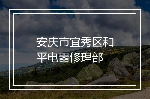 安庆市宜秀区和平电器修理部
