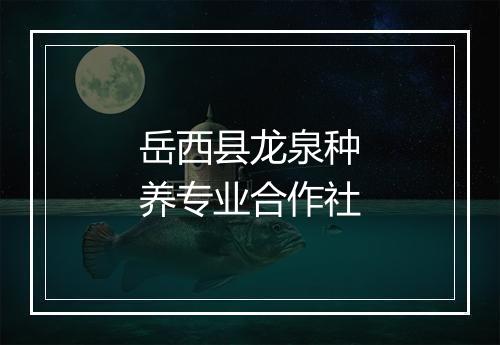岳西县龙泉种养专业合作社