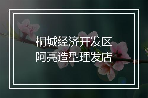 桐城经济开发区阿亮造型理发店