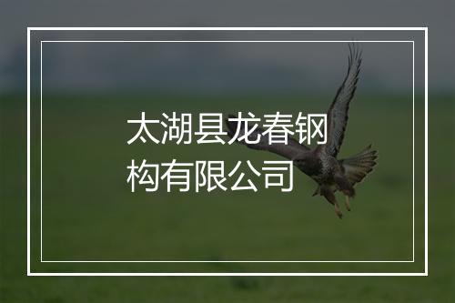 太湖县龙春钢构有限公司