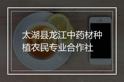 太湖县龙江中药材种植农民专业合作社