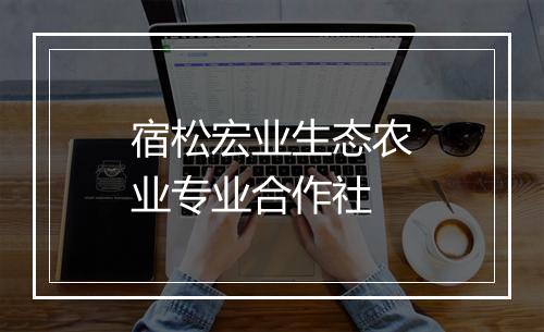 宿松宏业生态农业专业合作社