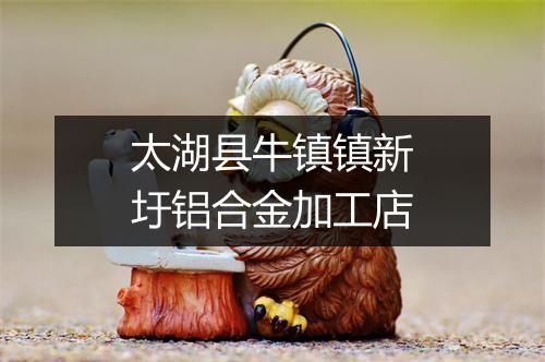 太湖县牛镇镇新圩铝合金加工店