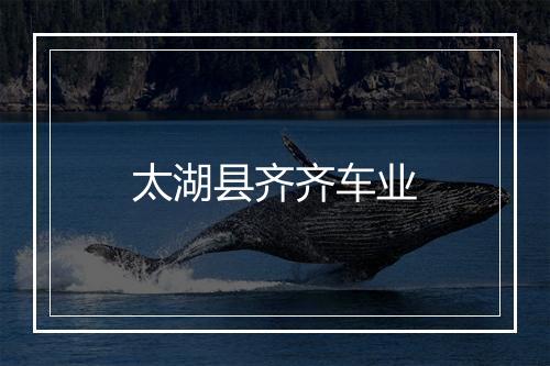 太湖县齐齐车业