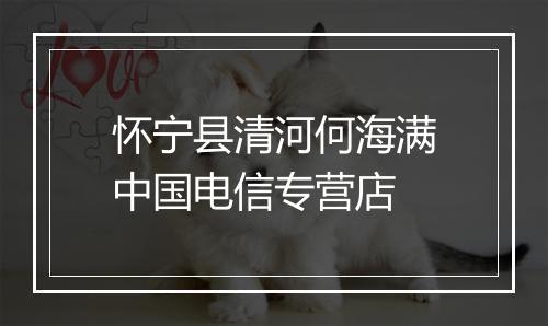 怀宁县清河何海满中国电信专营店