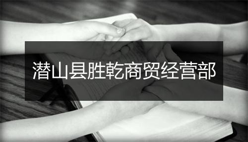 潜山县胜乾商贸经营部