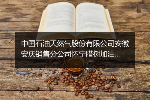 中国石油天然气股份有限公司安徽安庆销售分公司怀宁腊树加油站