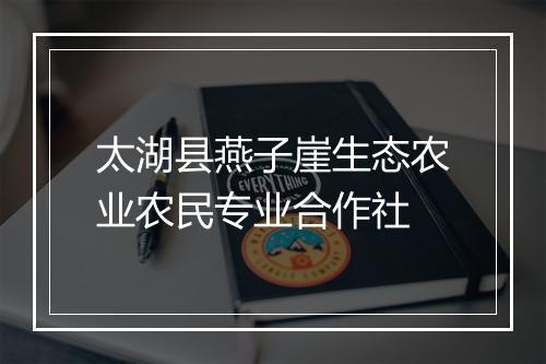 太湖县燕子崖生态农业农民专业合作社