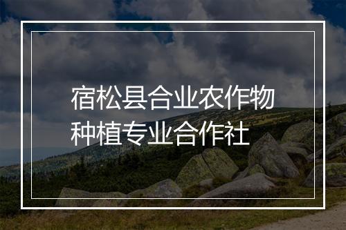 宿松县合业农作物种植专业合作社