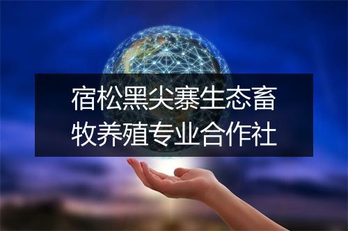 宿松黑尖寨生态畜牧养殖专业合作社