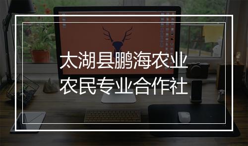 太湖县鹏海农业农民专业合作社