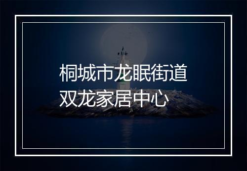 桐城市龙眠街道双龙家居中心