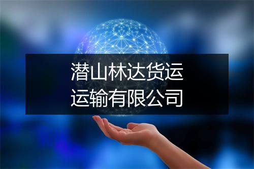 潜山林达货运运输有限公司