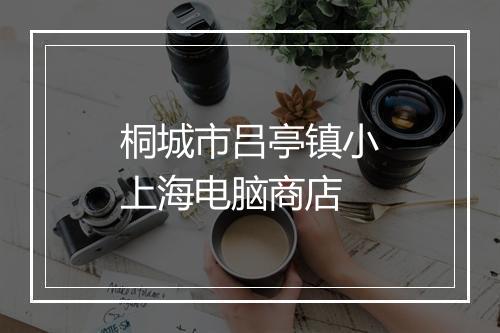 桐城市吕亭镇小上海电脑商店